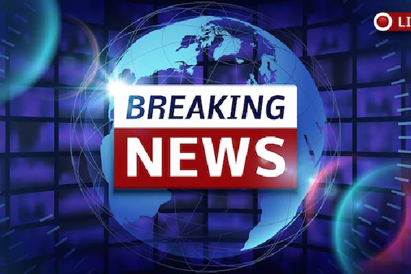 2026 年深度评测：TLK 分区护颈枕如何重新定义健康睡眠