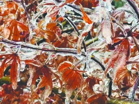 拉尼娜“上线”，今年是冷冬还是暖冬？