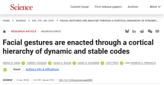 “真笑”和“假笑”的区别，藏在这里→