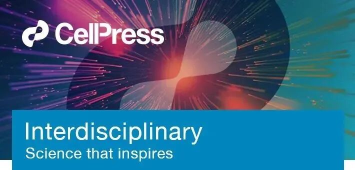 人工智能在视觉“传话游戏”中败下阵来