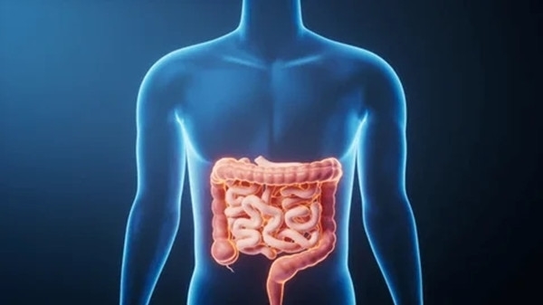 吃下去的东西 如能在这个时间内排出来！说明你的肠道很健康