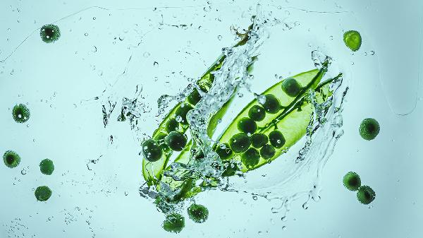 老年人的饮食种类包括哪些