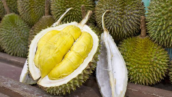 金枕榴莲能放多久