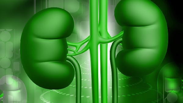 补肾补气补血的中成药