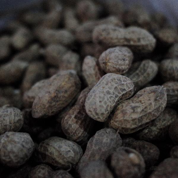 花生是低脂还是高脂