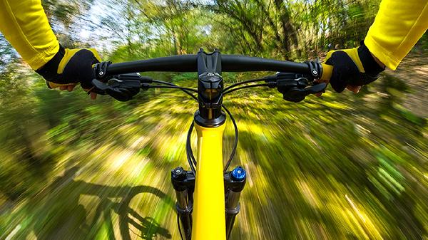 列举5种常见的有氧运动项目