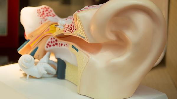 坐飞机耳朵疼该怎么办呢?