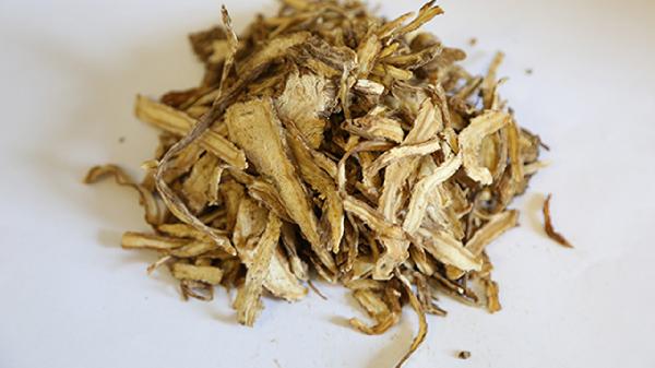 当归黄芪党参泡水可以天天喝吗