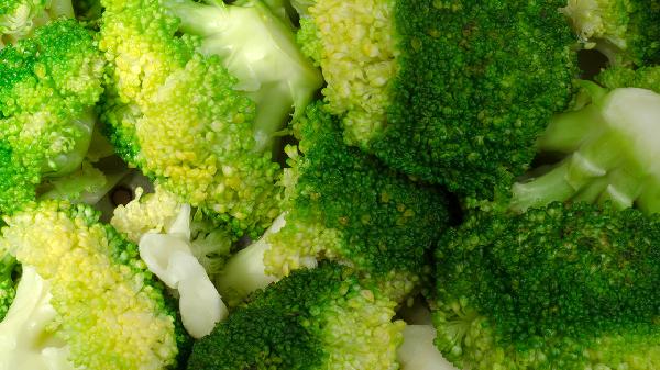 西兰花砍了还能发第二朵吗