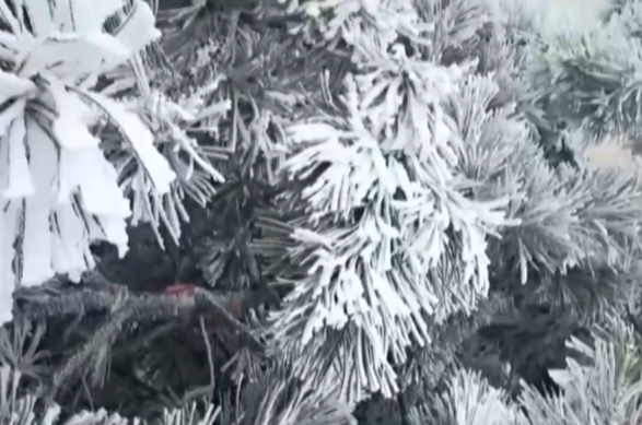 衡山冻成了“冰河世纪” 景区提醒:步行往返需10小时 请谨慎选择