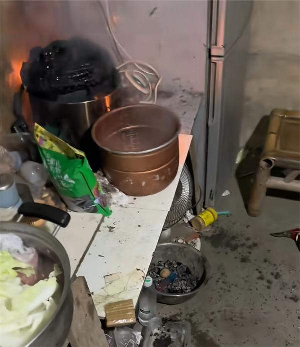 电饭煲煮饭时突然起火 主人如厕 金毛急得使劲刨门