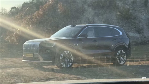 宝马X5国产平替 极氪8X实车出街