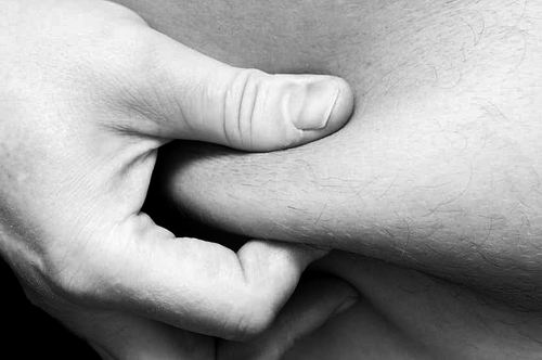 两项研究揭示脂肪对健康至关重要：控制血压、调节免疫