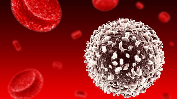 小儿白细胞低的原因及危害