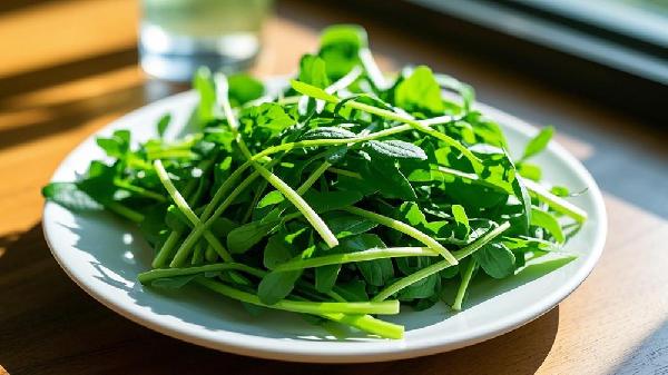 野菜都有哪些可以吃