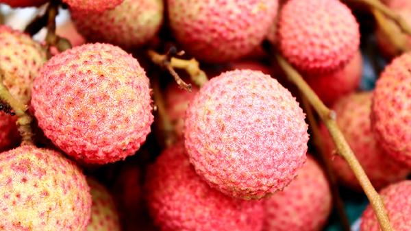 宝宝荔枝吃多了有什么危害