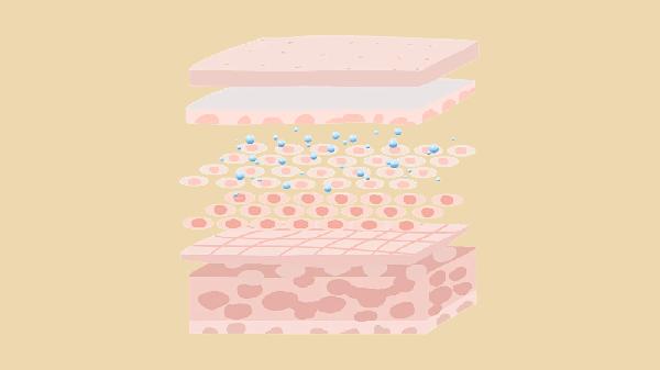 玻尿酸就是说透明质酸吗