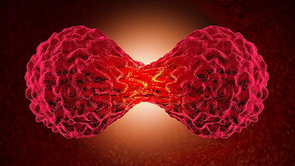 鳞状细胞癌早期