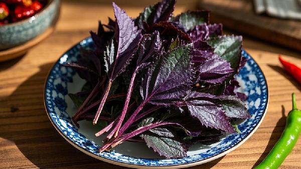 哪八种人不宜吃紫苏 四种人不宜吃紫苏