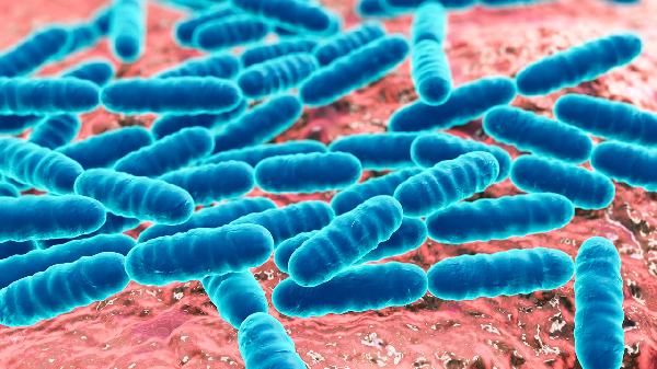 病毒感染的鼻窦炎吃什么药好的快一点