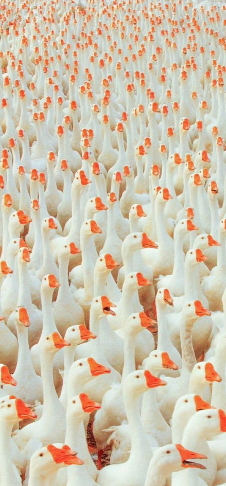 成都市武侯区开展职业院校职业健康大讲堂